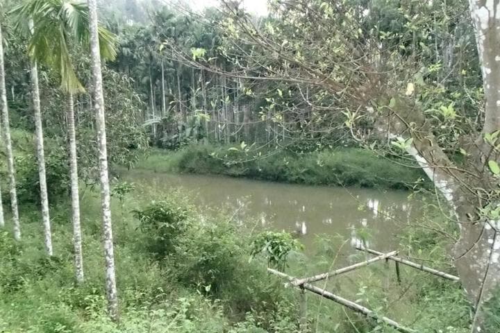 Explore Kedakal