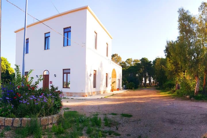 Explore Pittuini