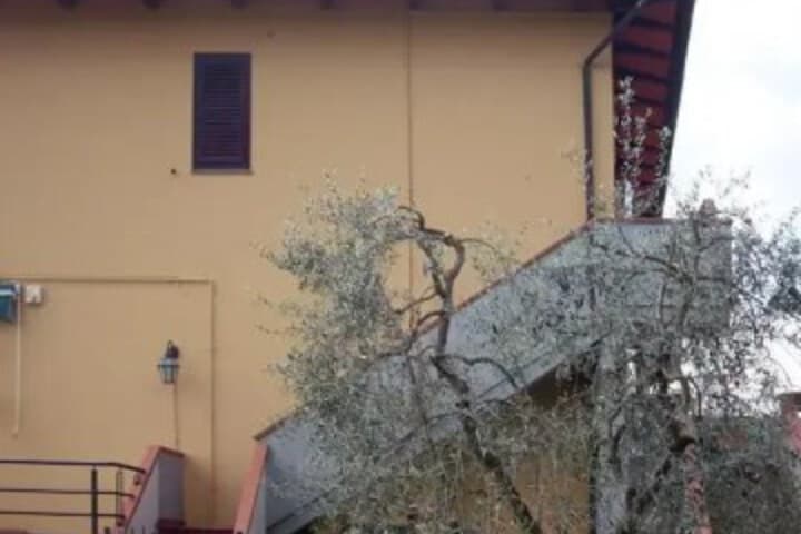 Explore Ponte A Egola