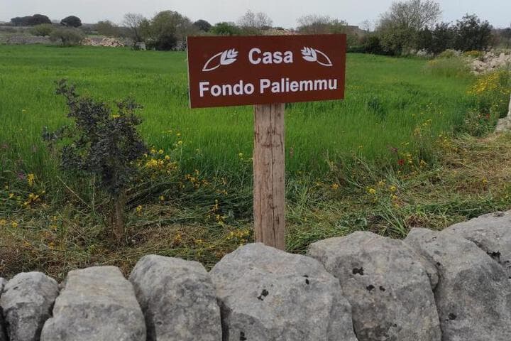 Explore Cannizzara