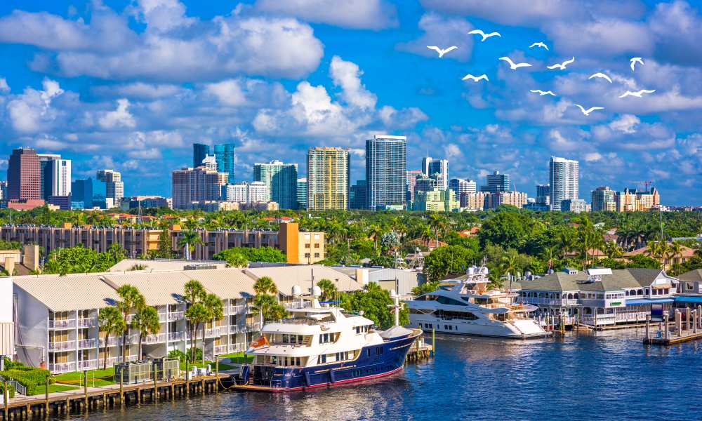 Discover the Top Attractions Best Things to Do in Tampa- Travelarii