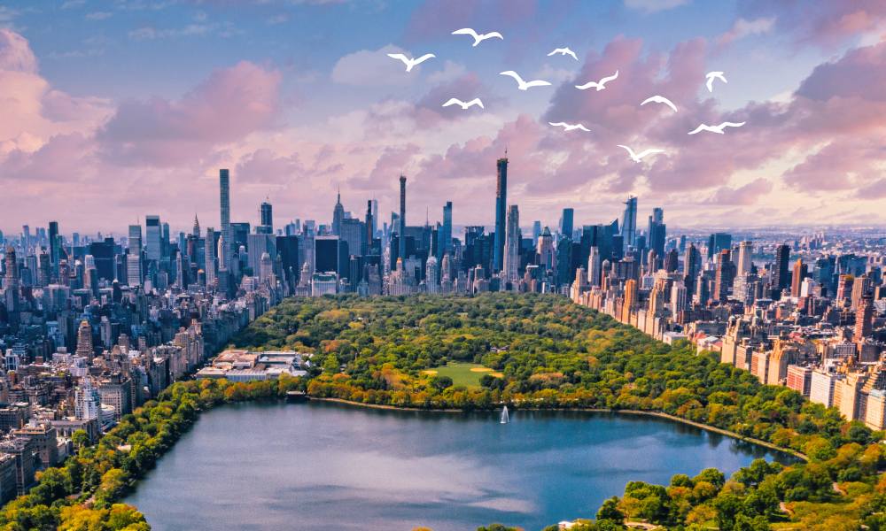 Plan Your NYC Adventure Best New York Attractions to Visit- Travelarii