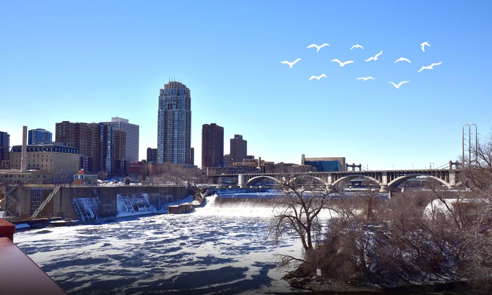 Plan Your Perfect Trip With Minneapolis Visitor Guide- Travelarii