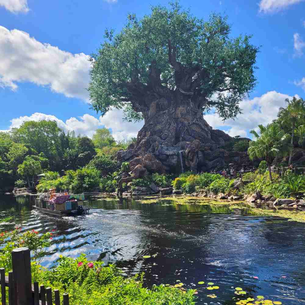 Disney's Animal Kingdom Theme Park Florida