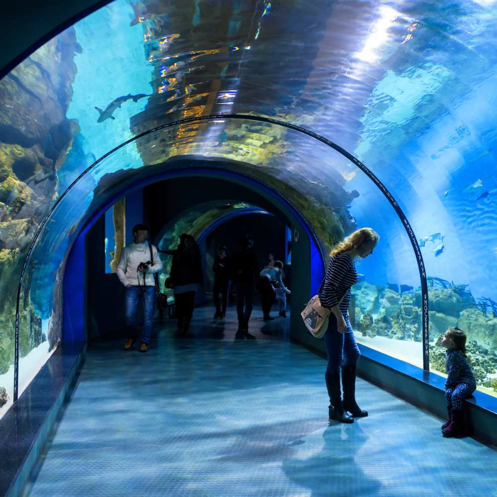 Shed Aquarium Chicago