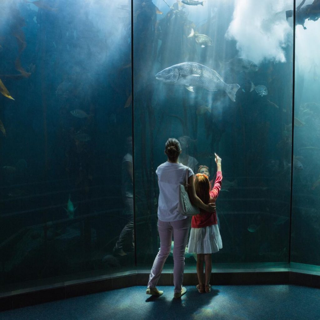 Aquarium of the Pacific in Los Angeles
