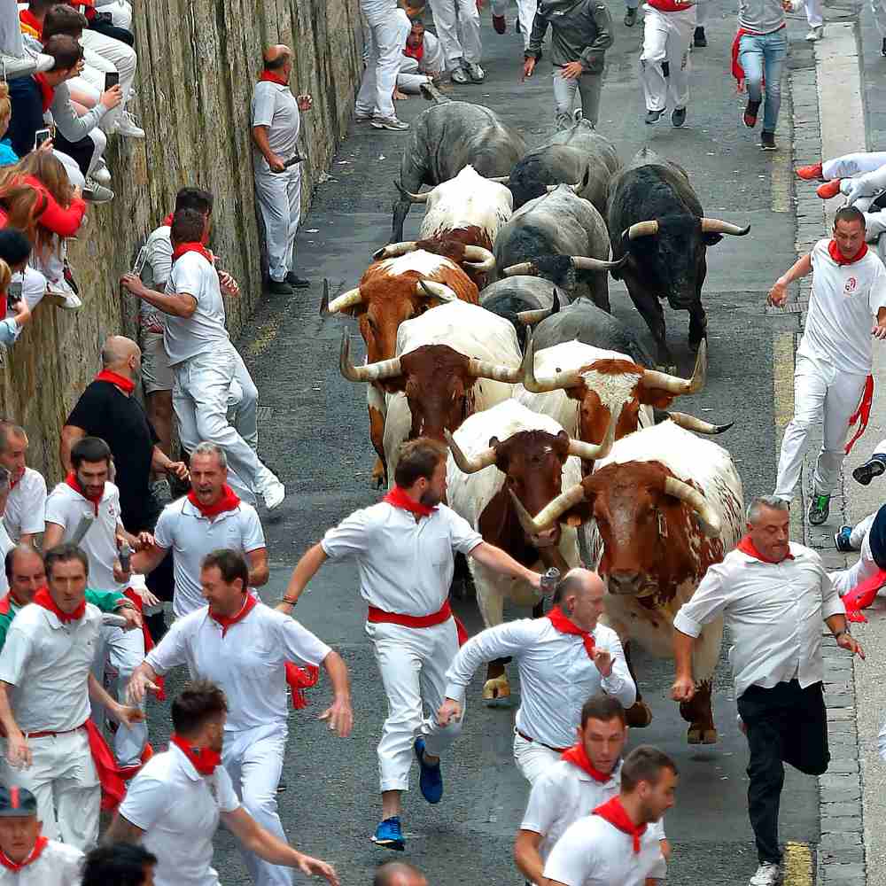 Running bulls in San Fermin, Spain's shocking festivals