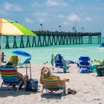 Unique Things to Do in Venice Florida That Make My Trip Special! 