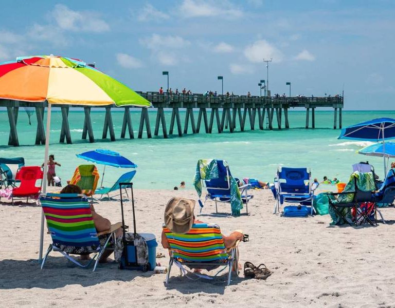 Unique Things to Do in Venice Florida That Make My Trip Special! 