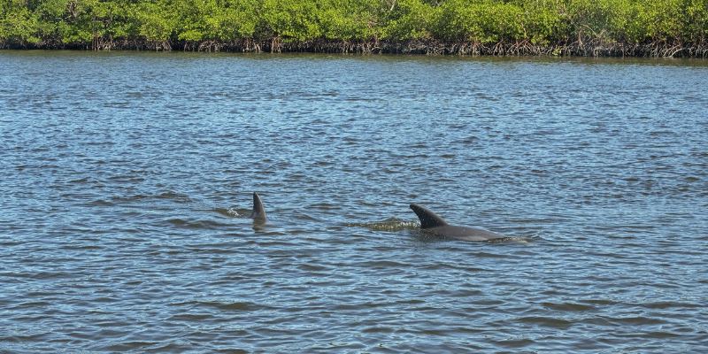 Things to Do in Florida in January