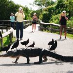 Free Things to Do in South Florida