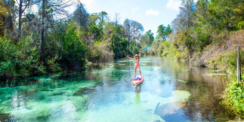 Affordable Vacation Spots in Florida