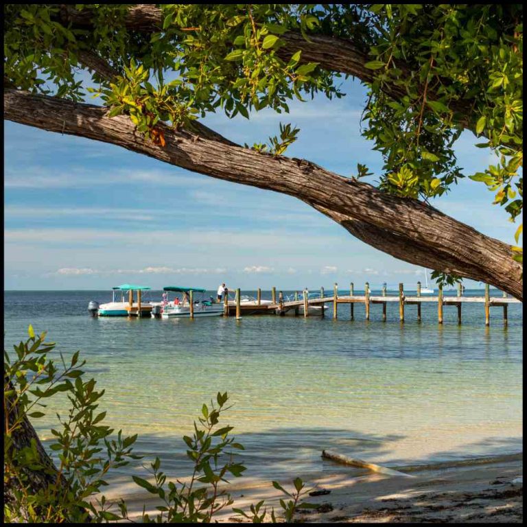 best things to do in the Florida keys