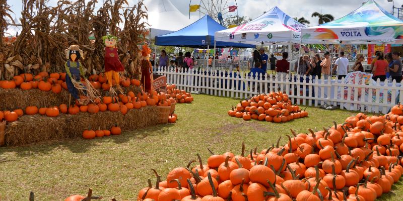 Things to Do in Florida For Halloween