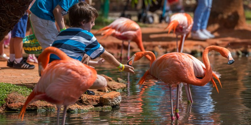 Best Family Vacation Spots Florida