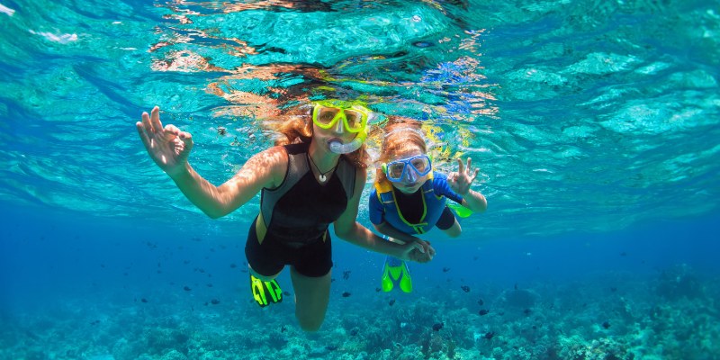 Snorkeling in Crystal River