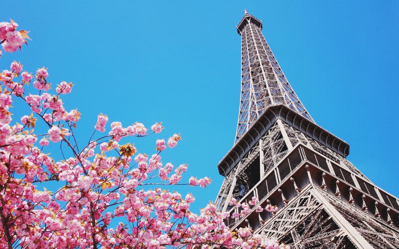 Eiffel Tower in Early Mornings: The Eiffel Tower stands in the early morning light, surrounded by calm surroundings and the soft glow of dawn.