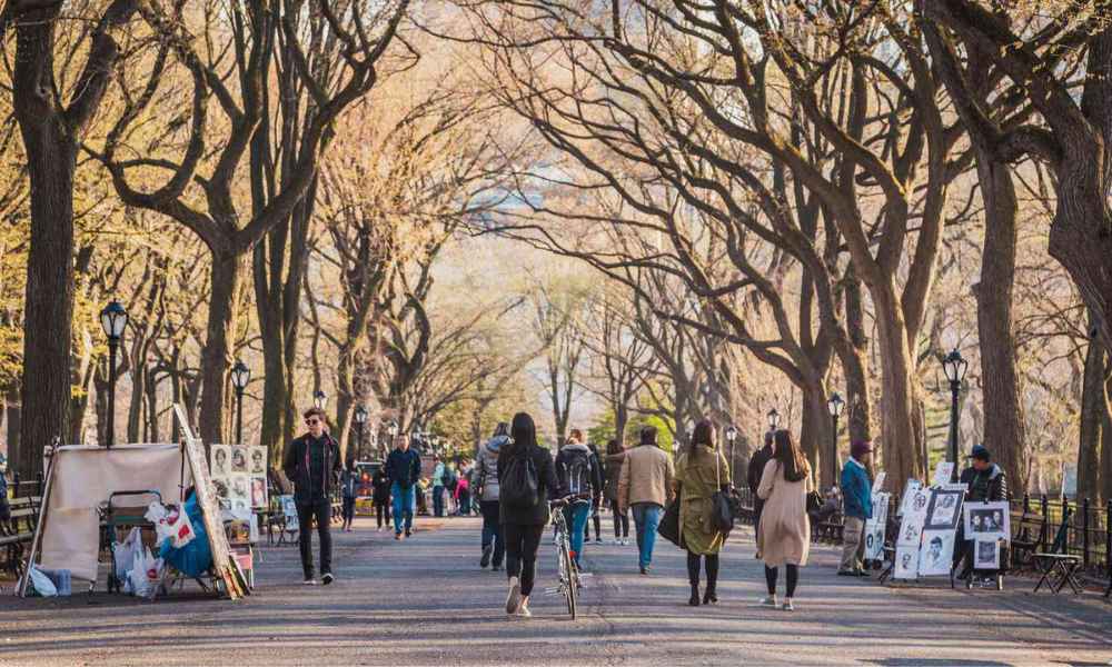 People enjoy a pleasant walk on a tree-lined avenue in Central Park, immersed in the serene atmosphere of the park.