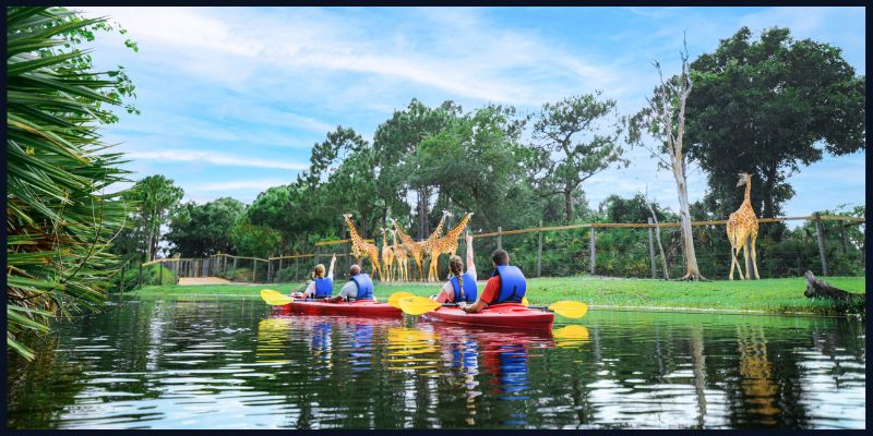 Visitors kayaking near giraffes at Brevard Zoo in Melbourne, Central Florida, surrounded by lush greenery and clear blue skies.