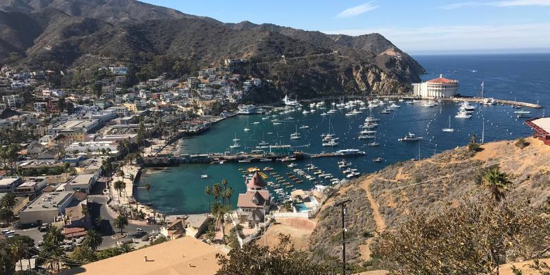 Stunning view from the top of Catalina Island, showcasing lush landscapes and sparkling ocean waters.