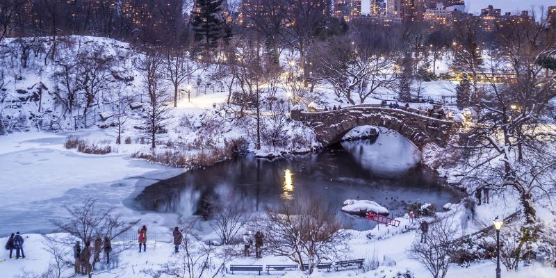 Snow-covered Central Park in New York City, features tranquil pathways and frosted trees in a winter landscape.