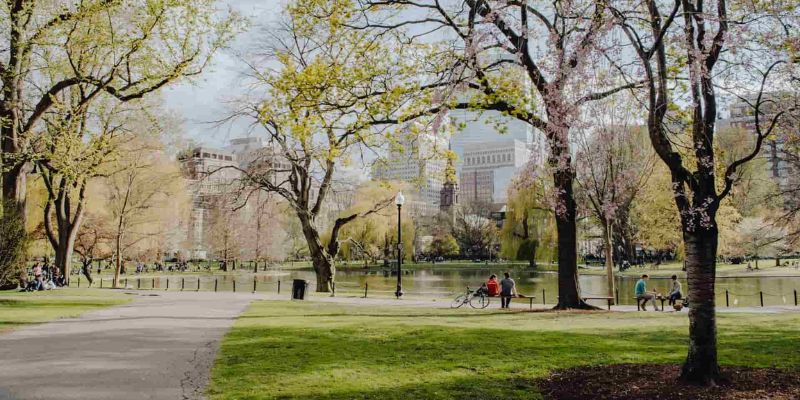 A serene park scene featuring lush trees and individuals strolling along a winding path.