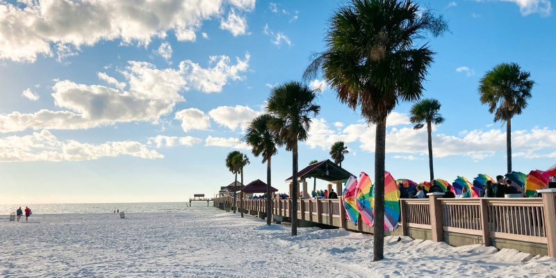 Tranquil Clearwater beach landscape showcasing palm trees and umbrellas nestled in the soft, warm sand.