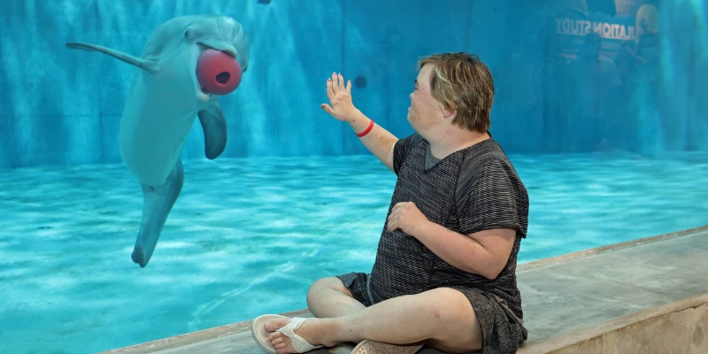 A man sits on the ground, gently touching a dolphin, showcasing a moment of connection between human and marine life.