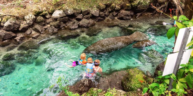 Three people are swimming close to a sign, highlighting a vibrant day by Crystal River.