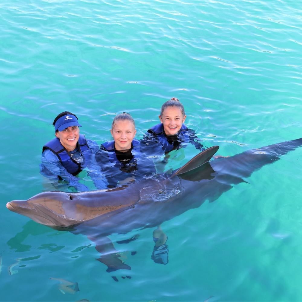 Three people smile as they pose with a dolphin in the clear waters of Pensacola Bay during a fun-filled cruise.