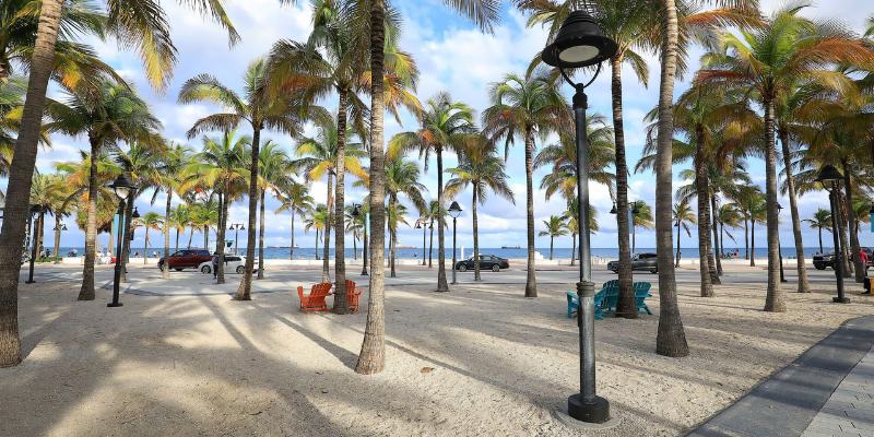 Tranquil beach with swaying palm trees and several chairs, perfect for enjoying the coastal view.