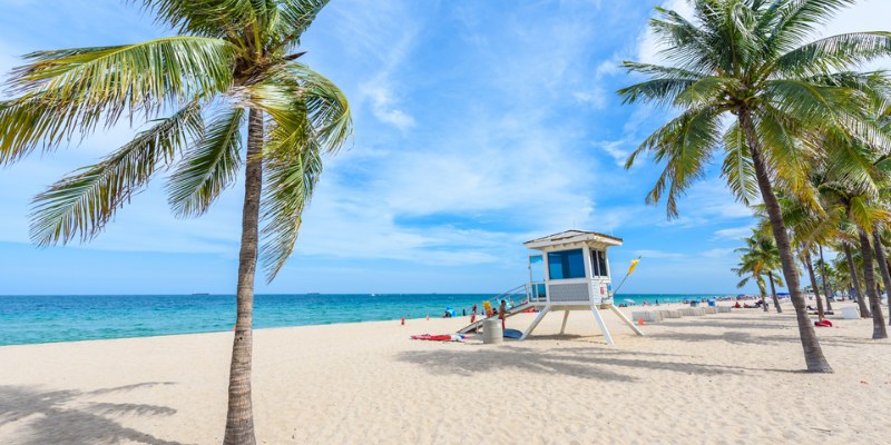 A lifeguard tower is positioned on a sandy beach, with palm trees swaying gently in the coastal breeze.