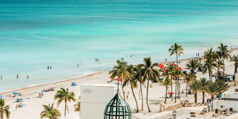 A vibrant beach scene featuring palm trees and people enjoying the sun and sand.