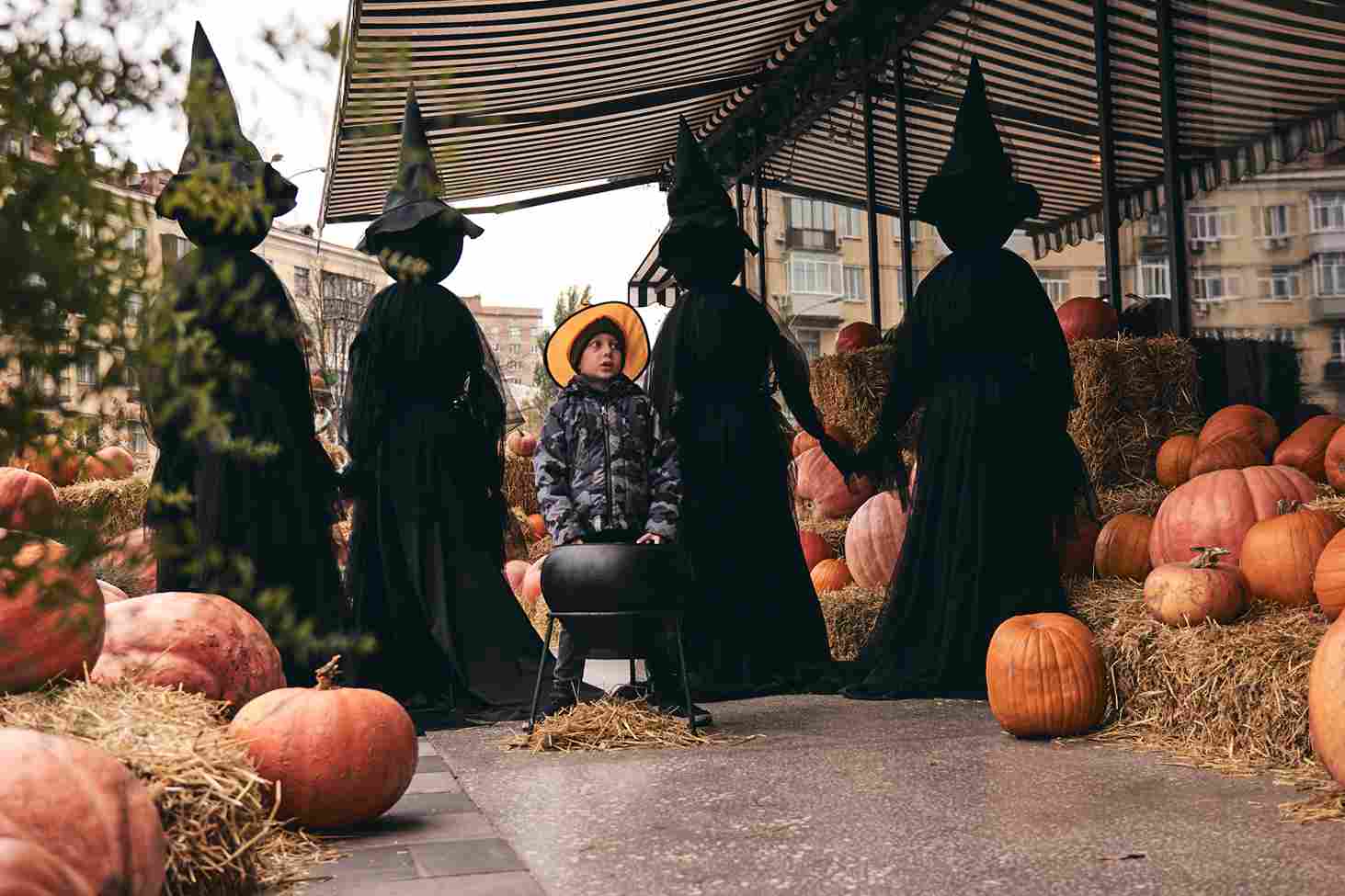 A child in a costume surrounded by people dressed as witches, standing among pumpkins and straw bales, creating a Halloween atmosphere.