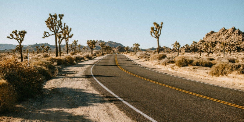 Serene road in Joshua Tree National Park, showcasing the park's unique desert flora and stunning natural beauty.