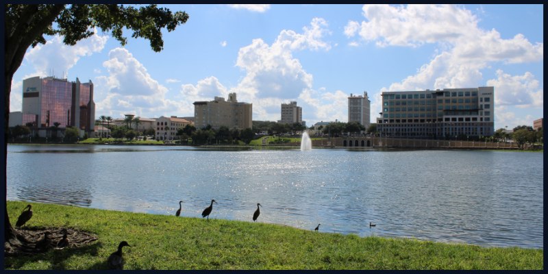 Scenic view of Lake Mirror Park in Lakeland, featuring city buildings, a fountain in the water, and birds near the shoreline on a sunny day.