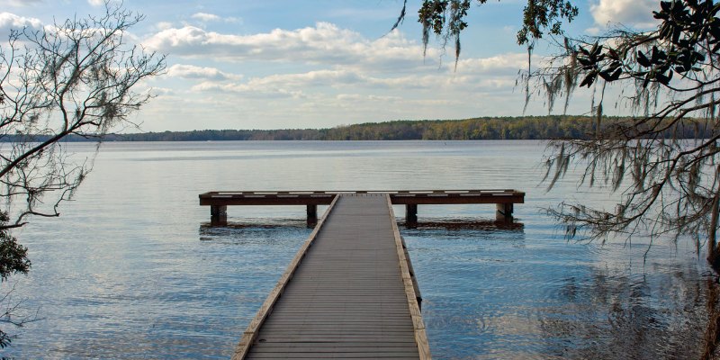 A rustic wooden dock extends into tranquil waters, creating a peaceful scene for relaxation and reflection.