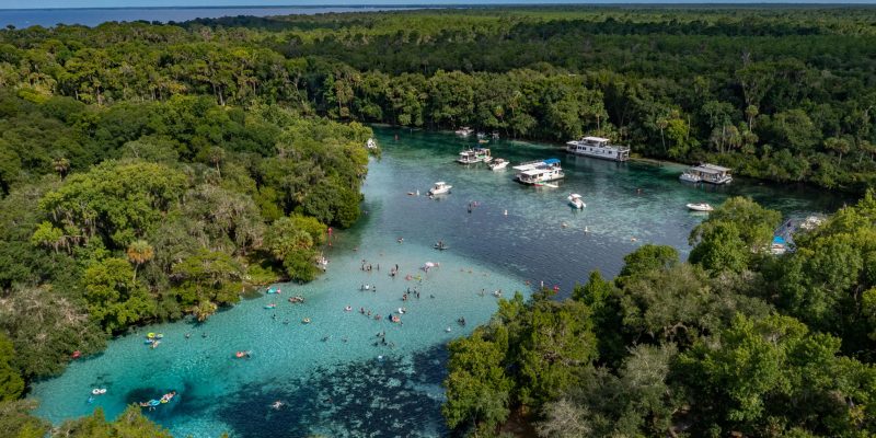 A serene view of the blue hole at Ocala National Forest, showcasing its vibrant blue waters surrounded by lush greenery.