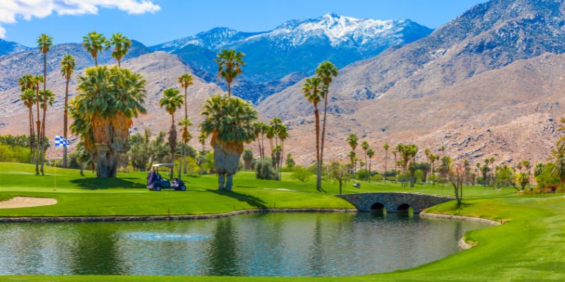 Stunning Palm Springs golf course showcasing vibrant fairways and palm trees under a bright, sunny sky.