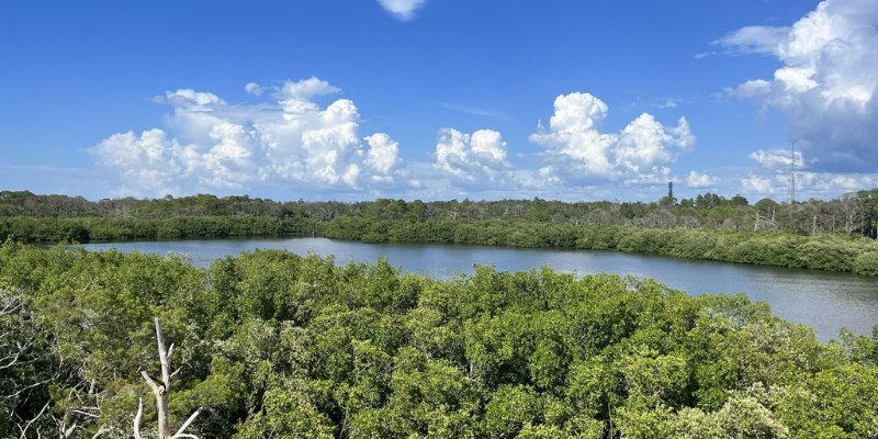 A peaceful Wall Springs Park scene featuring calm water surrounded by vibrant trees captures essence of nature's serenity.