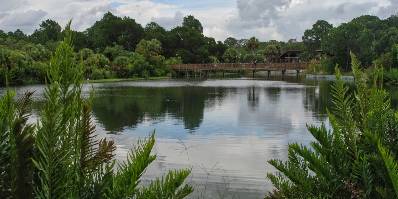 A tranquil pond bordered by dense trees and greenery, showcasing the beauty of a natural landscape.