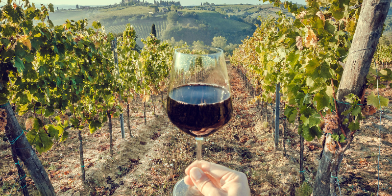 A person with a glass of wine in hand, set against the beautiful backdrop of Napa Valley vineyards.