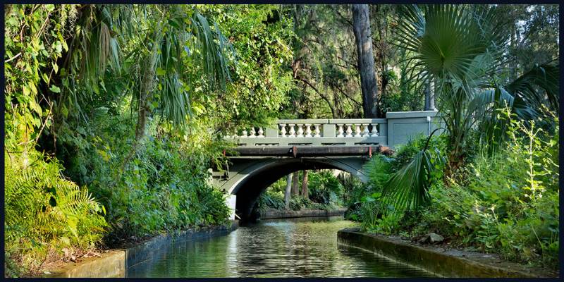 Scenic view of a picturesque bridge surrounded by lush greenery in Winter Park, Central Florida.