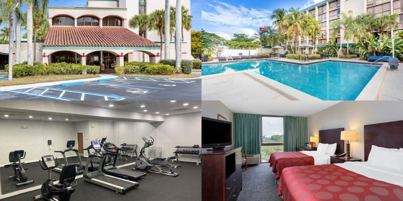 Visuals of 88 Palms Hotel & Event Center: four pictures highlighting a hotel room, swimming pool, and gym amenities.