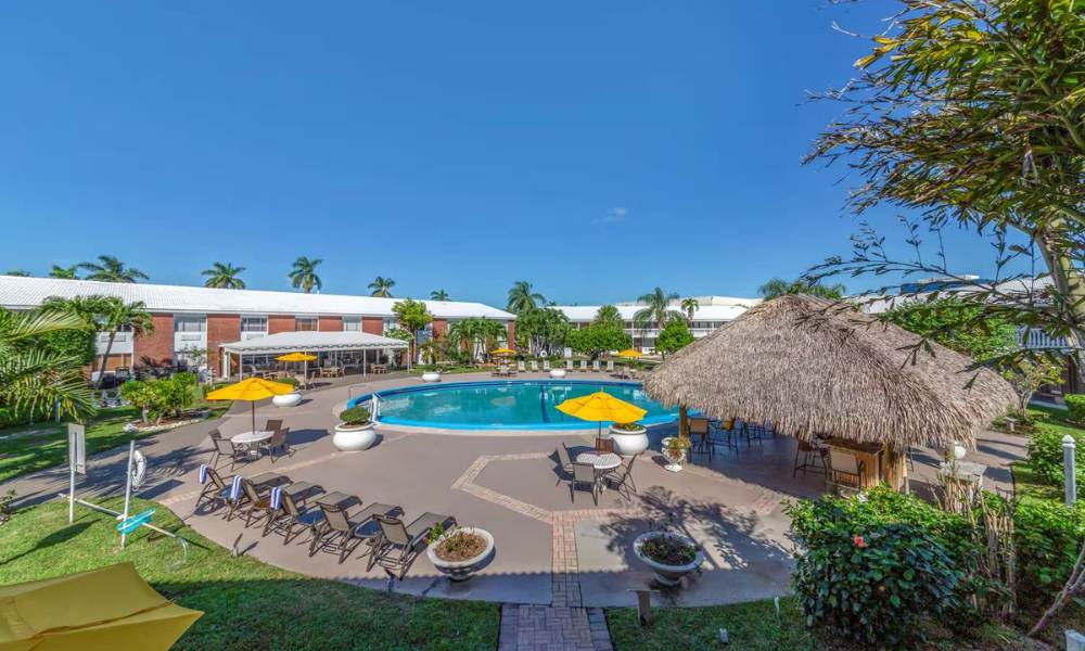 A serene pool at West Palm Beach, surrounded by palm trees and lounge chairs under a clear blue sky.