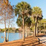 Cheap Things to Do in Orlando For An Affordable 5-Day Itinerary!