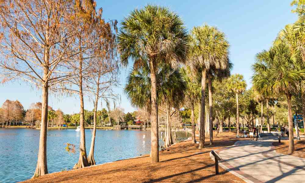 A sunny park scene in Orlando offers one of the best cheap things to do — a stroll along a path lined by palm trees beside a serene lake.