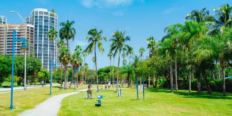 Coconut Grove Park showcases vibrant green grass and elegant palm trees under a clear blue sky.