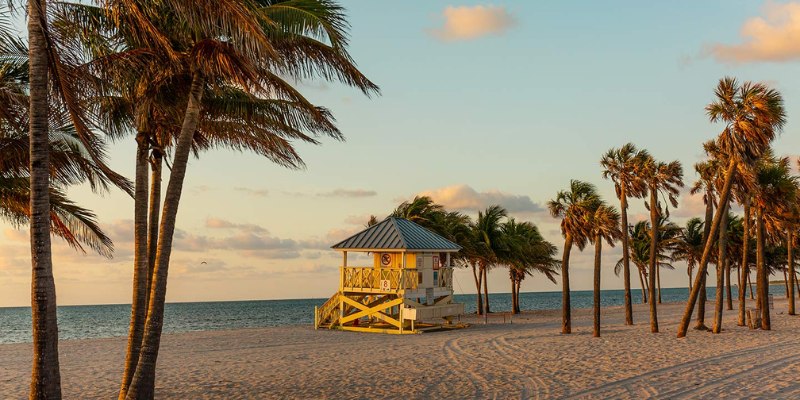 Crandon Beach Park features a lifeguard tower, framed by lush palm trees against a backdrop of sandy shores.