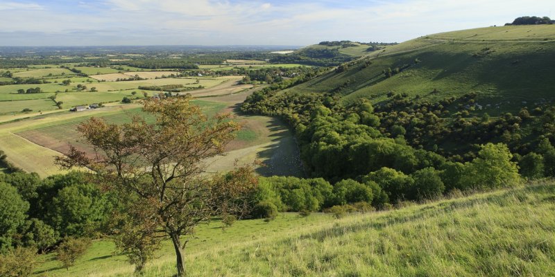 Scenic vista from Devil's Dyke, featuring a vibrant green valley surrounded by gentle hills and a bright sky.